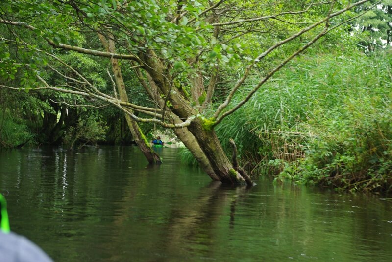 Pierwszy spływ rzeką Grabowa zorganizowany przez firmę KajakKAJAK